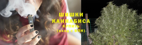 мдпв Иннополис