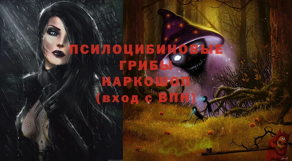 мдпв Иннополис