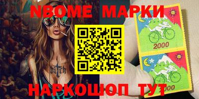 крисы Кулебаки