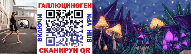 blacksprut как войти  Нефтеюганск  Псилоцибиновые грибы GOLDEN TEACHER 